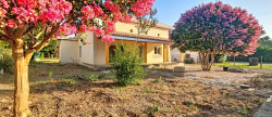 vente Maison Carbonne