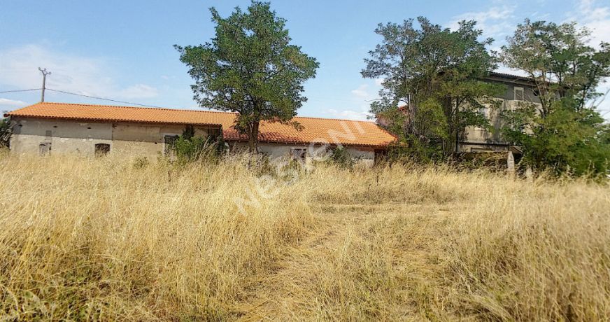 vente Maison Saint Elix Le Chateau