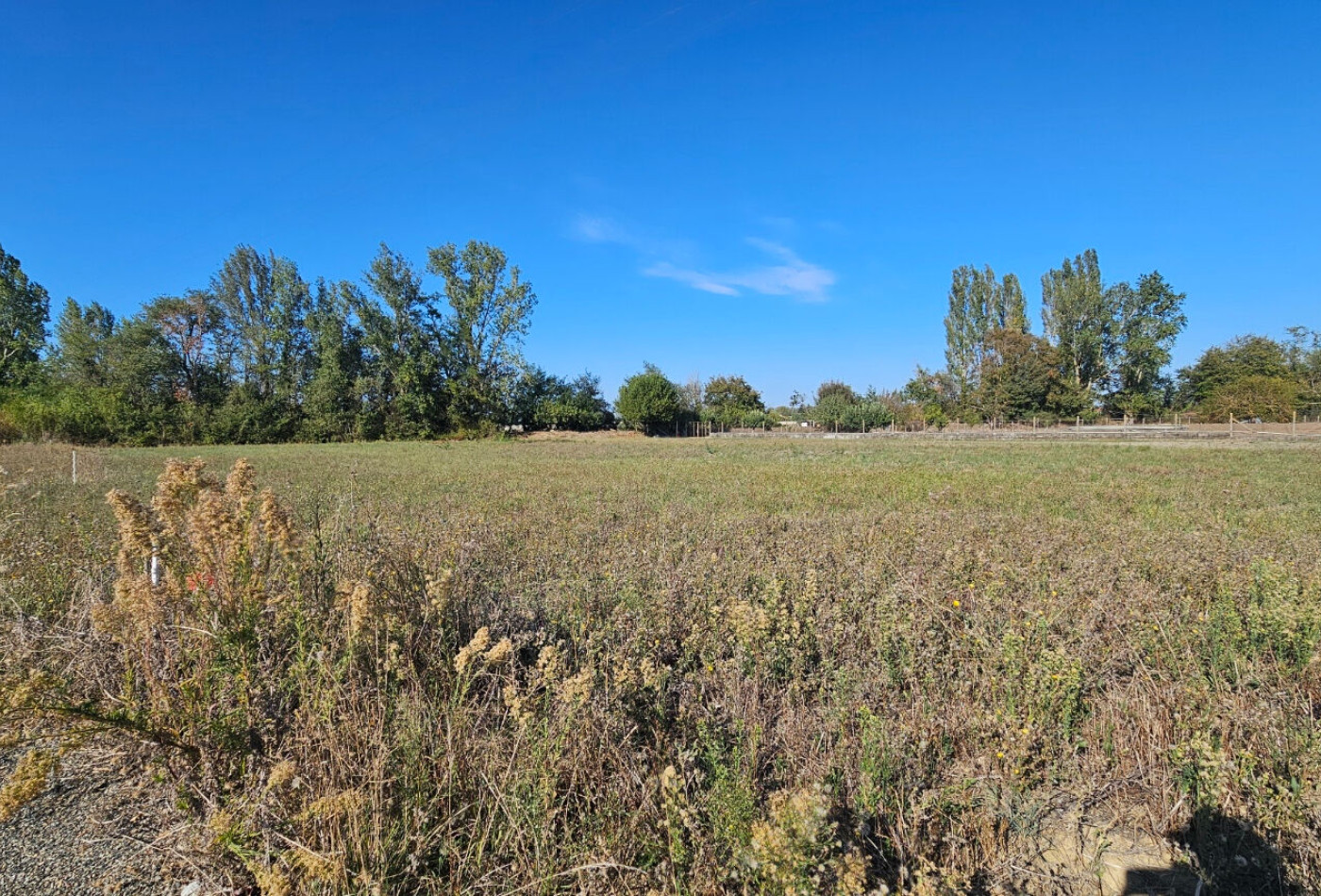 vente Terrain Cazeres - Photo 6