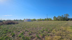 à vendre Terrain Cazeres