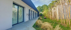 location Local commercial Carbonne
