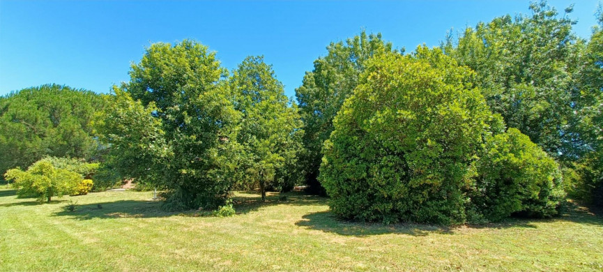 vente Maison Villebrumier - Photo 7