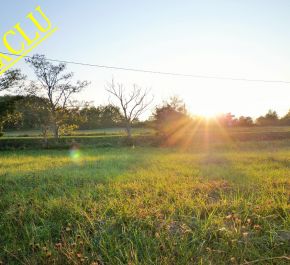 A vendre Montastruc-la-conseillere 3112675 Sia 31