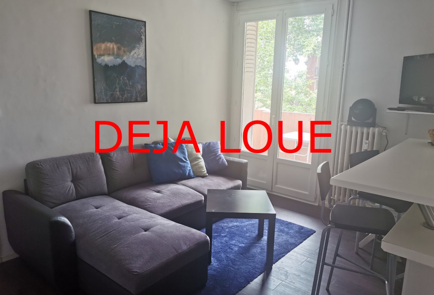location Appartement Toulouse - Photo 1
