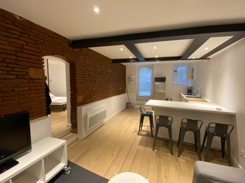 location Appartement Toulouse - Photo 1