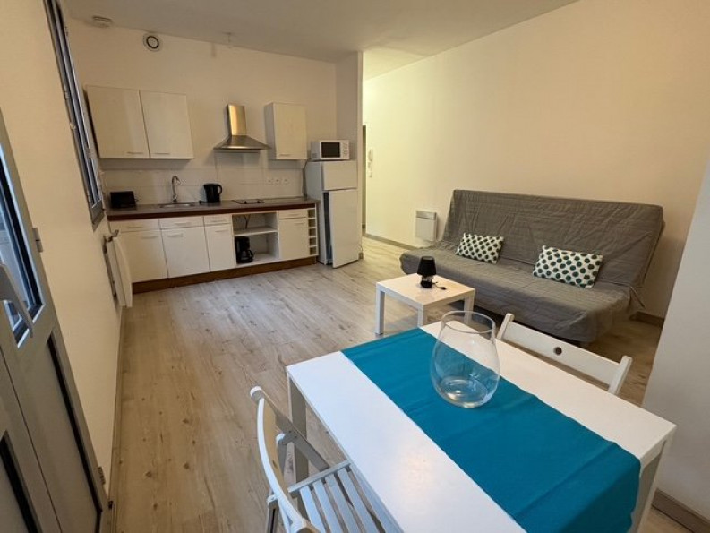 à louer Appartement Toulouse - Photo 1