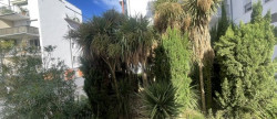 vente Maison Toulouse