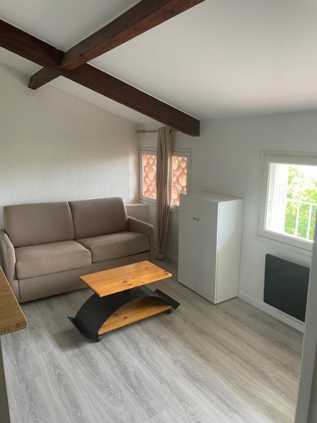 location Appartement Toulouse - Photo 1