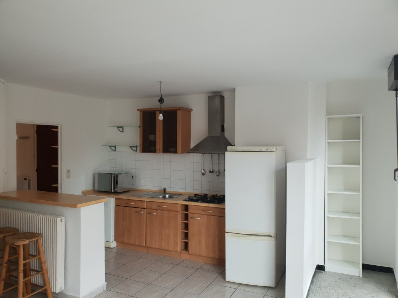 location Appartement Toulouse - Photo 1