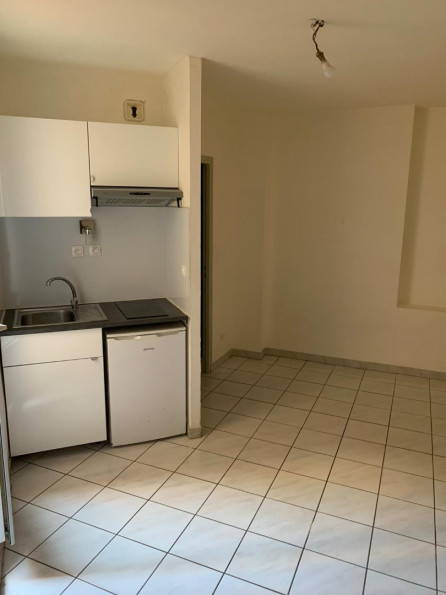 location Appartement Toulouse - Photo 1