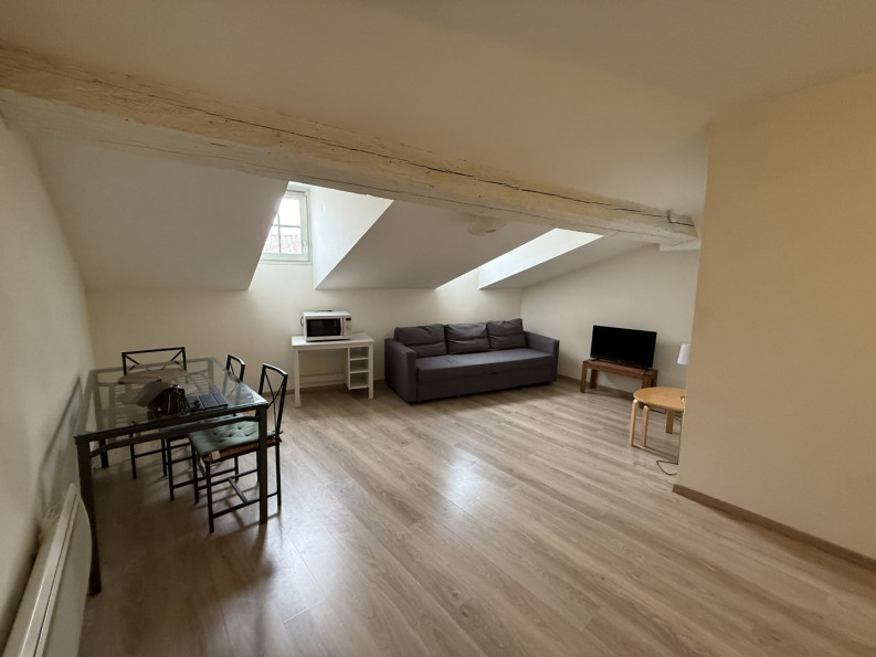 location Appartement Toulouse - Photo 1