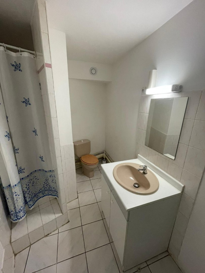 à louer Appartement Toulouse - Photo 8