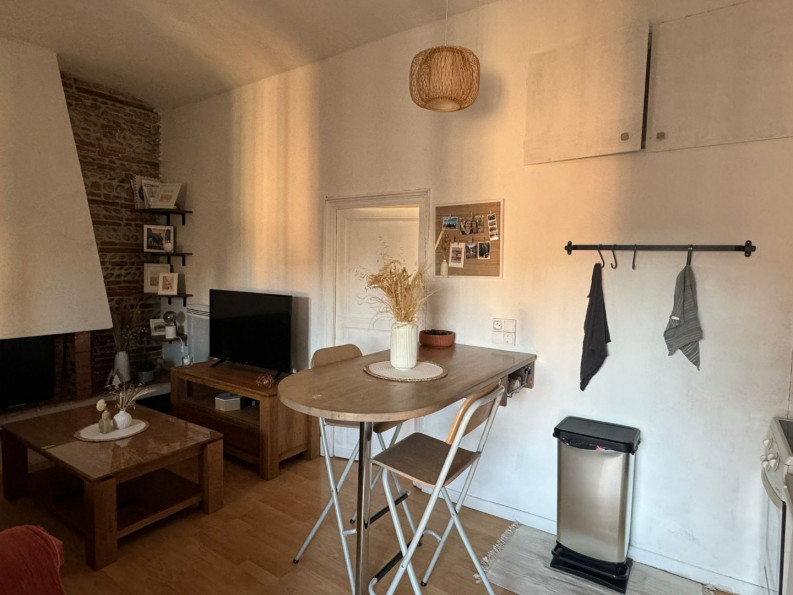 location Appartement Toulouse - Photo 1