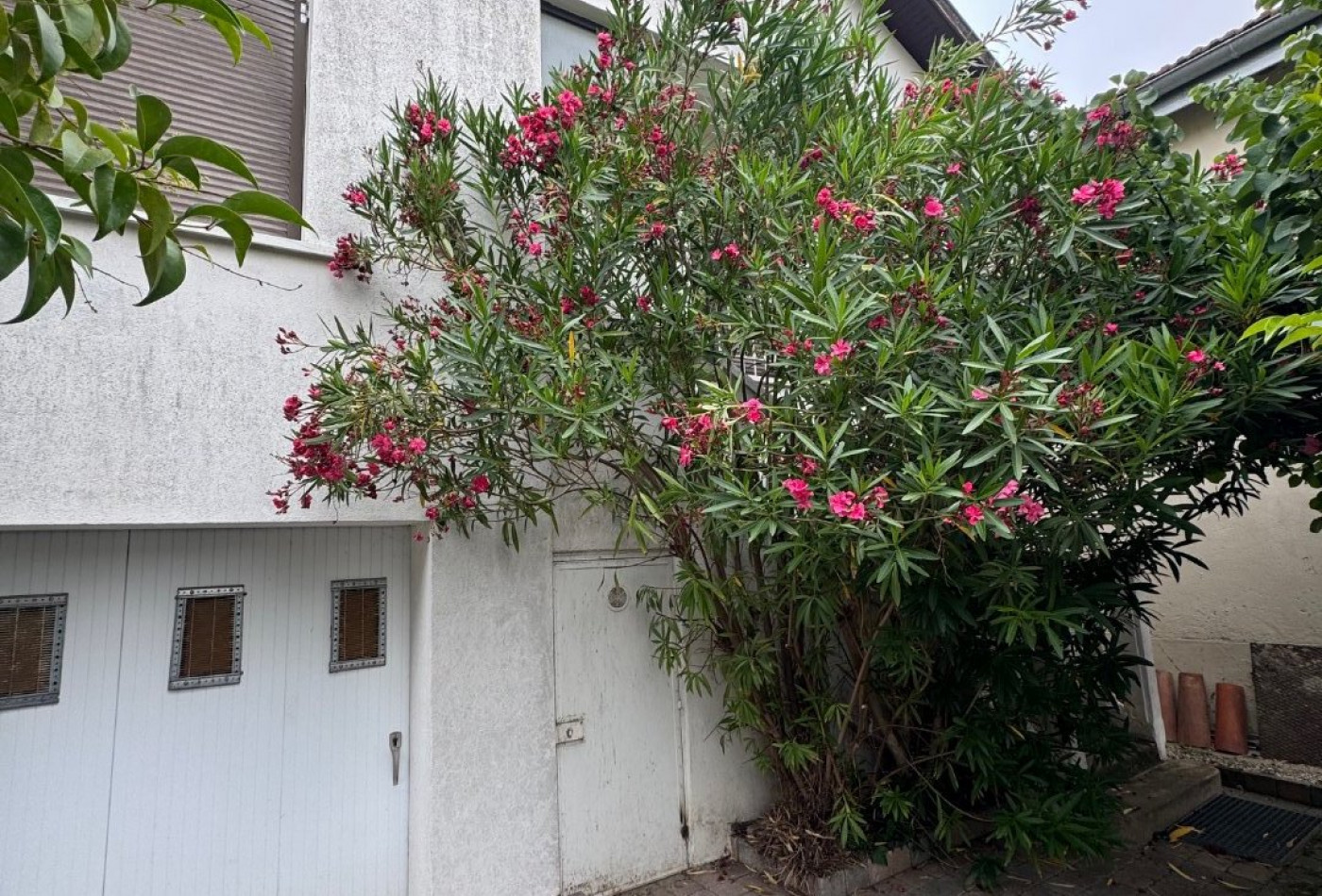 vente Maison individuelle Toulouse - Photo 1