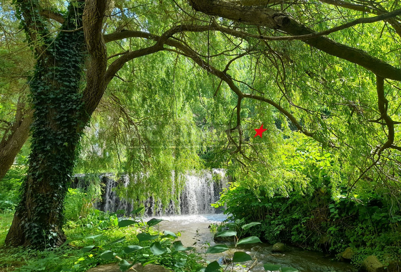 vente Maison Soreze - Photo 9