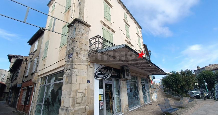 vente Immeuble de rapport Labruguiere