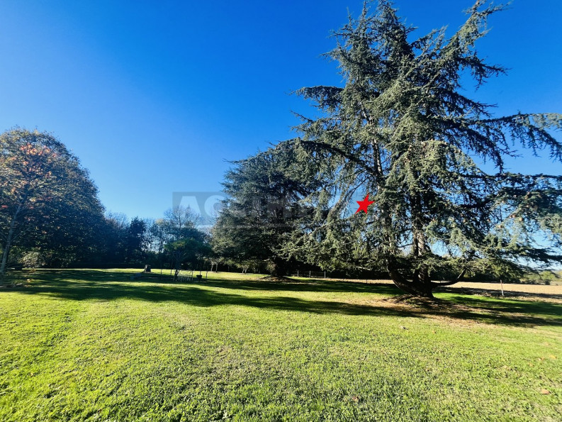 vente Maison Saint Paul Cap De Joux - Photo 8