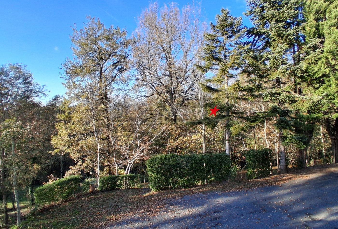 vente Maison Castres - Photo 8