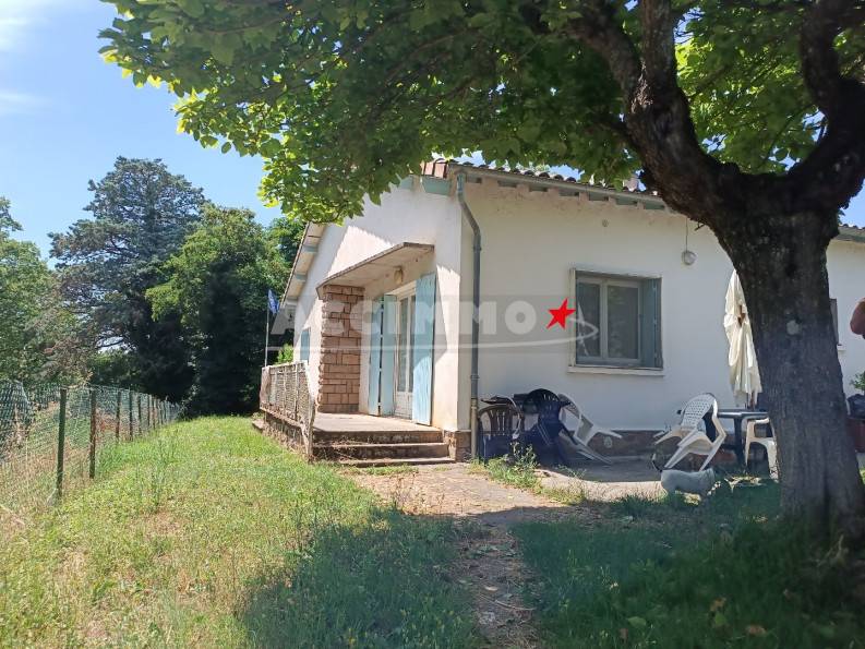 vente Maison Realmont - Photo 1