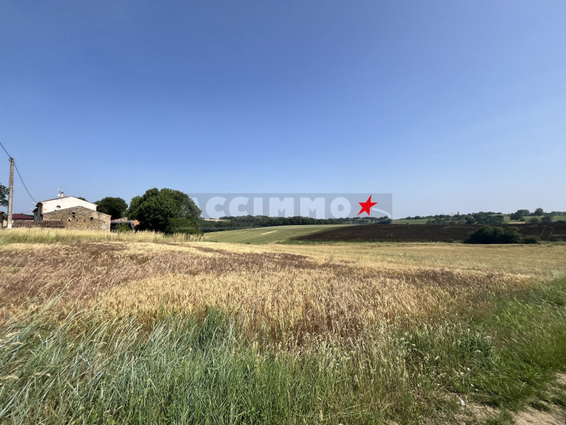 vente Maison Castres - Photo 8