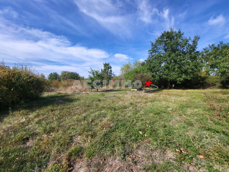 vente Maison Lavaur - Photo 6