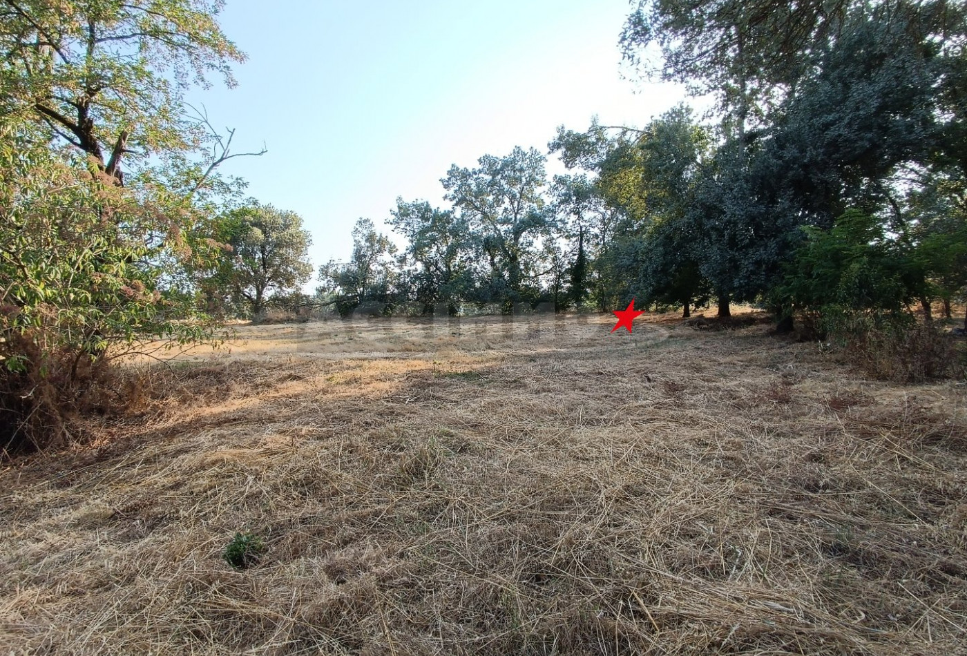 vente Maison Lempaut - Photo 9