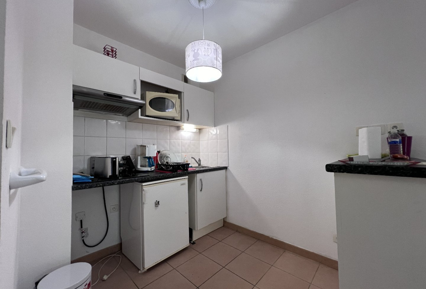 location Appartement Saint Gaudens - Photo 5