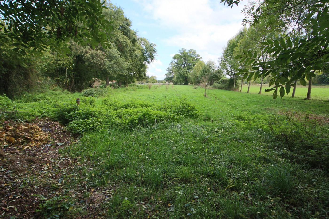 sale Maison Ponlat Taillebourg - Photo 9