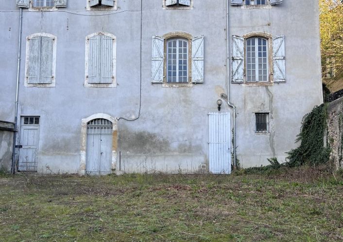 sale Immeuble Saint Gaudens