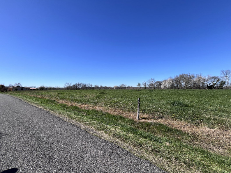 vente Terrain Lodes - Photo 3