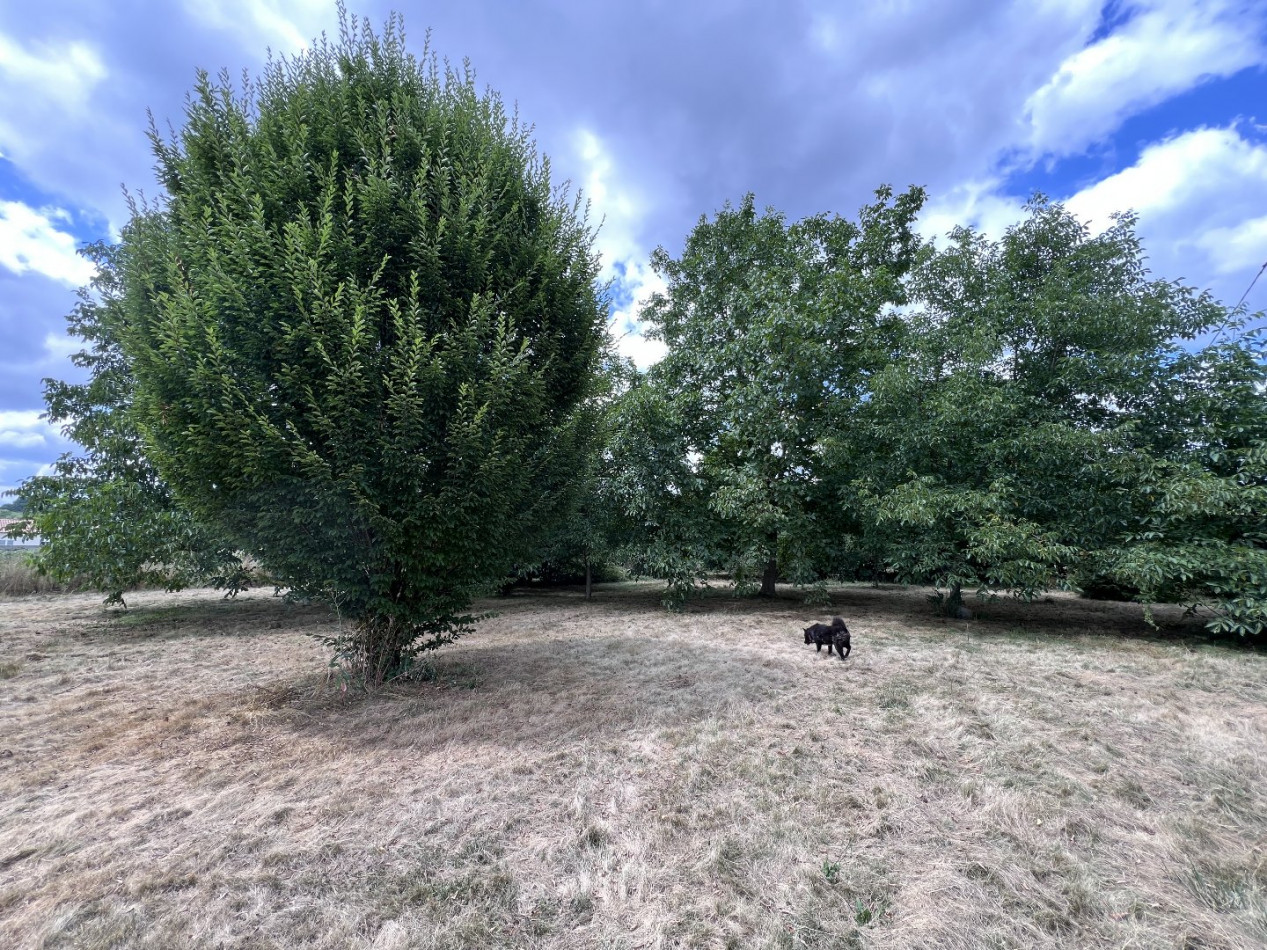 vente Fermette Saint Gaudens - Photo 3