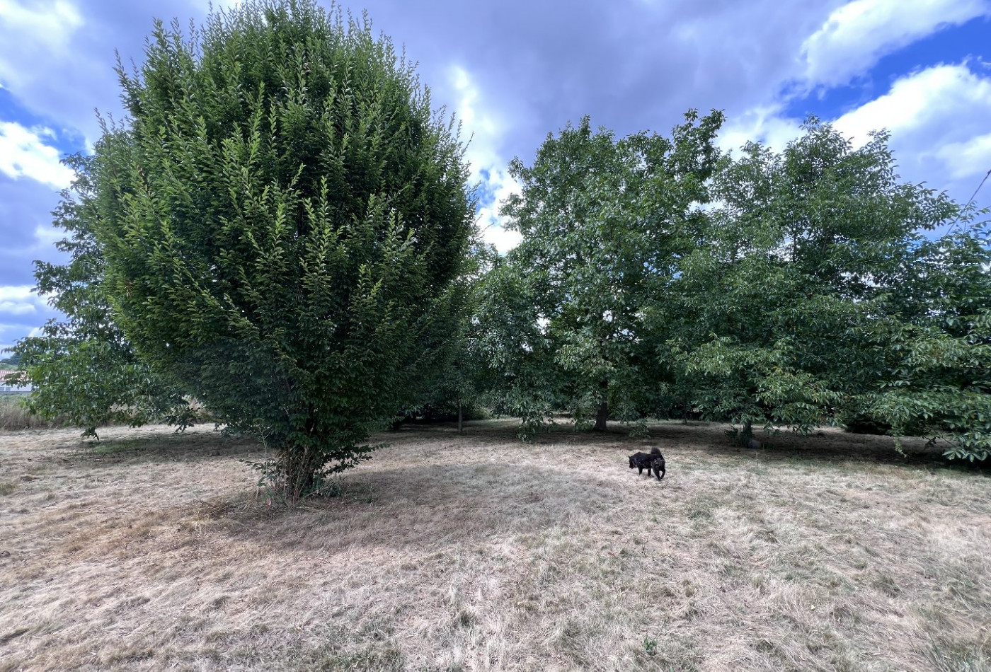 vente Fermette Saint Gaudens - Photo 3