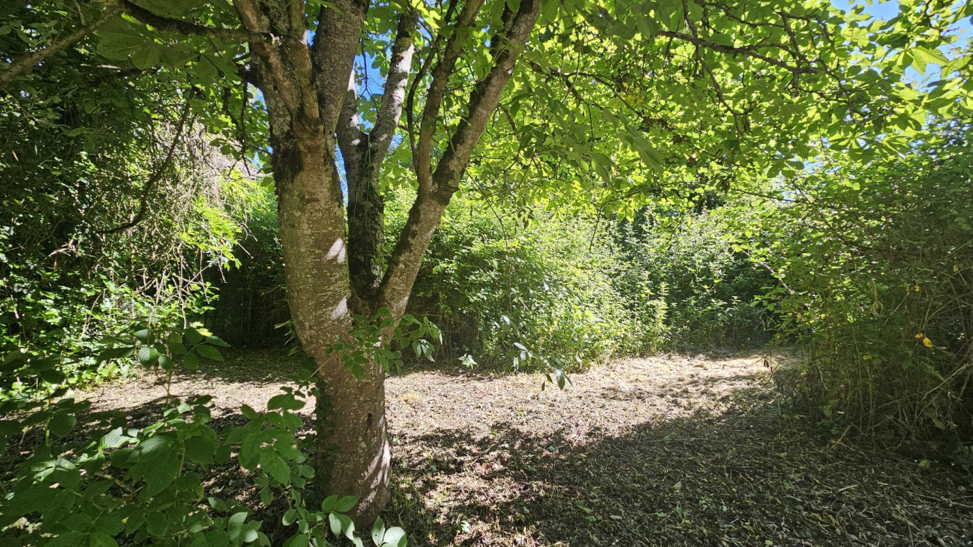 sale Maison Villeneuve De Riviere - Photo 7