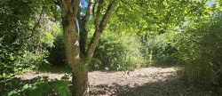 vente Maison Villeneuve De Riviere
