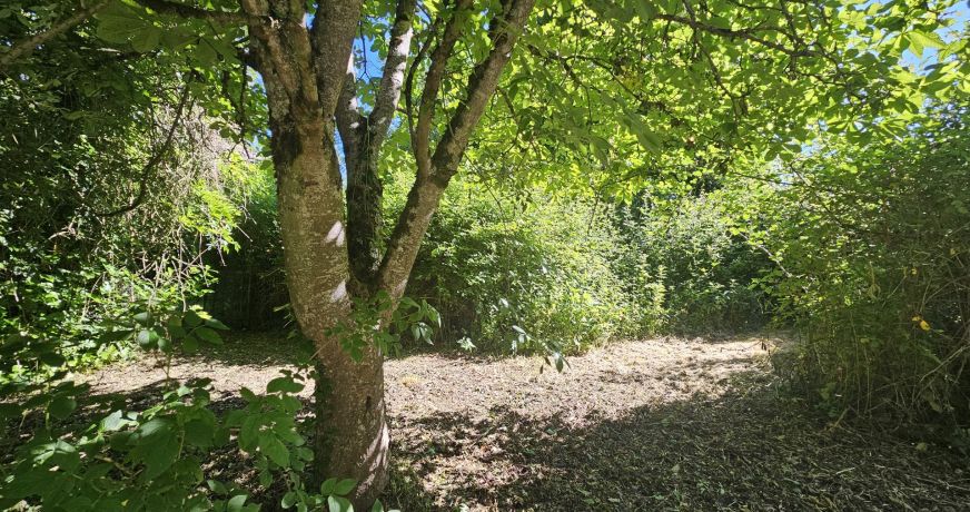 vente Maison Villeneuve De Riviere