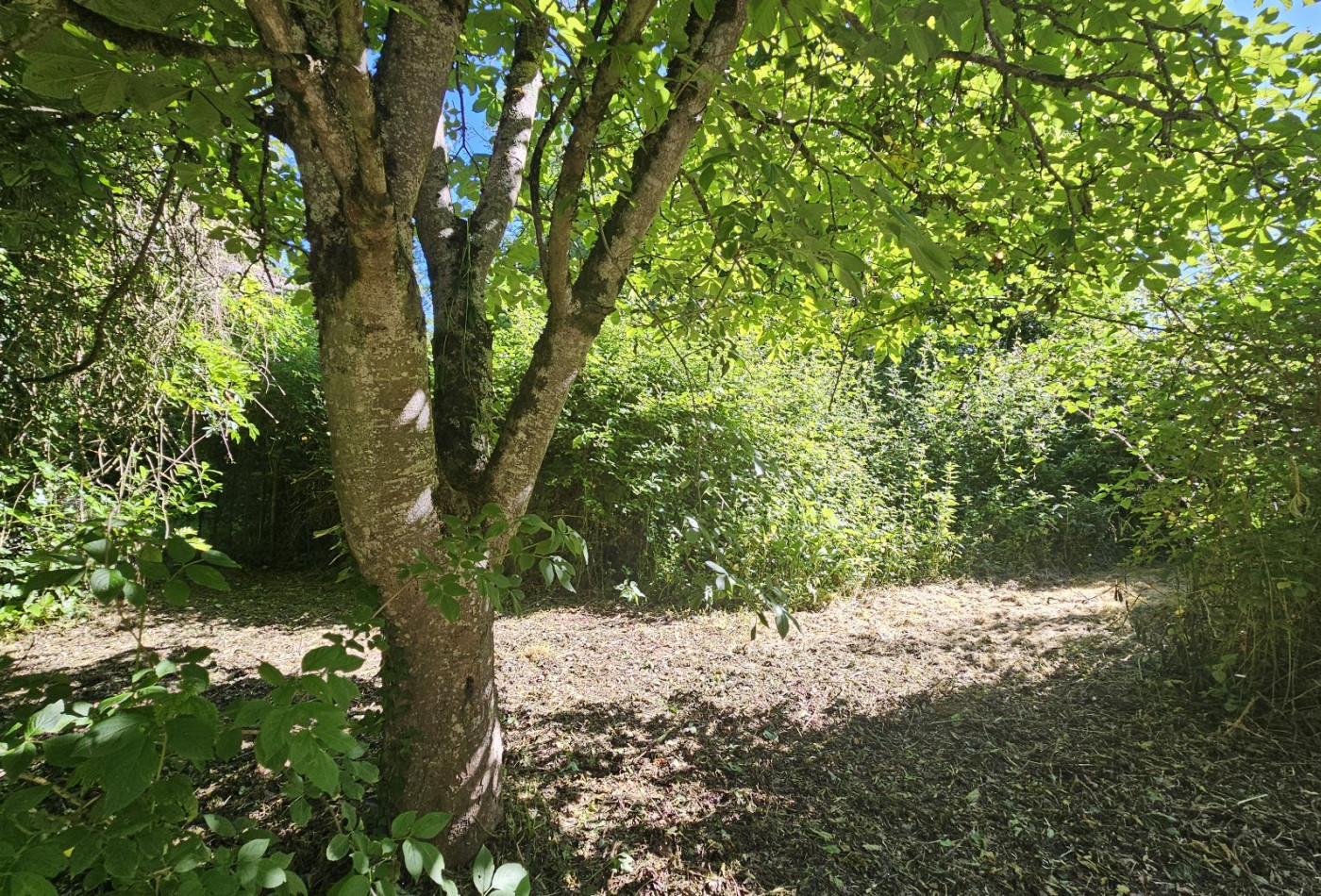 vente Maison Villeneuve De Riviere - Photo 7
