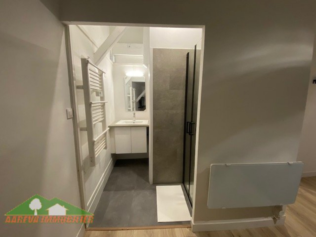 location Appartement rénové Saint Gaudens - Photo 4