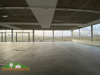 vente Local commercial Labarthe Inard