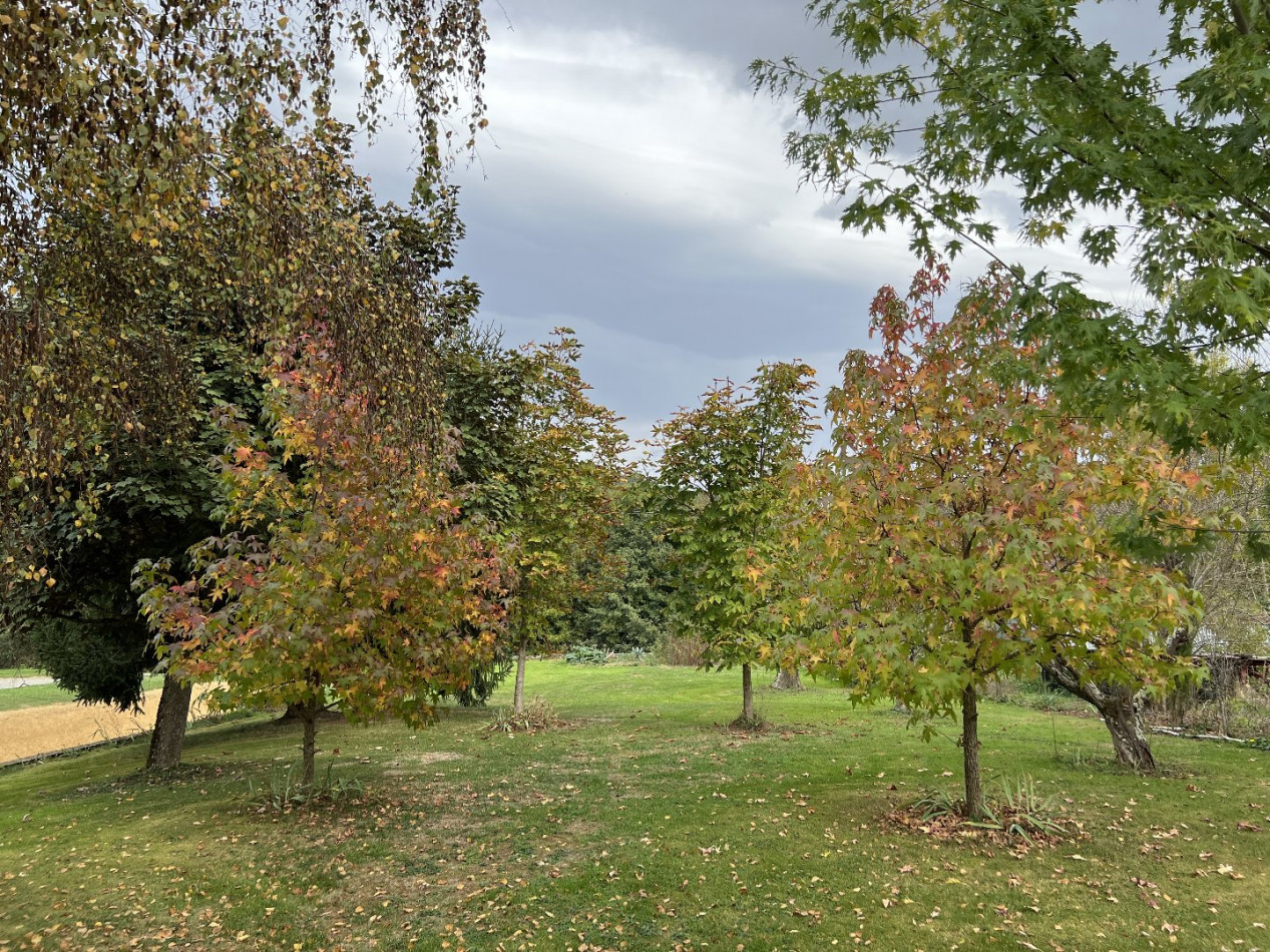 vente Maison Izaut De L'hotel - Photo 10