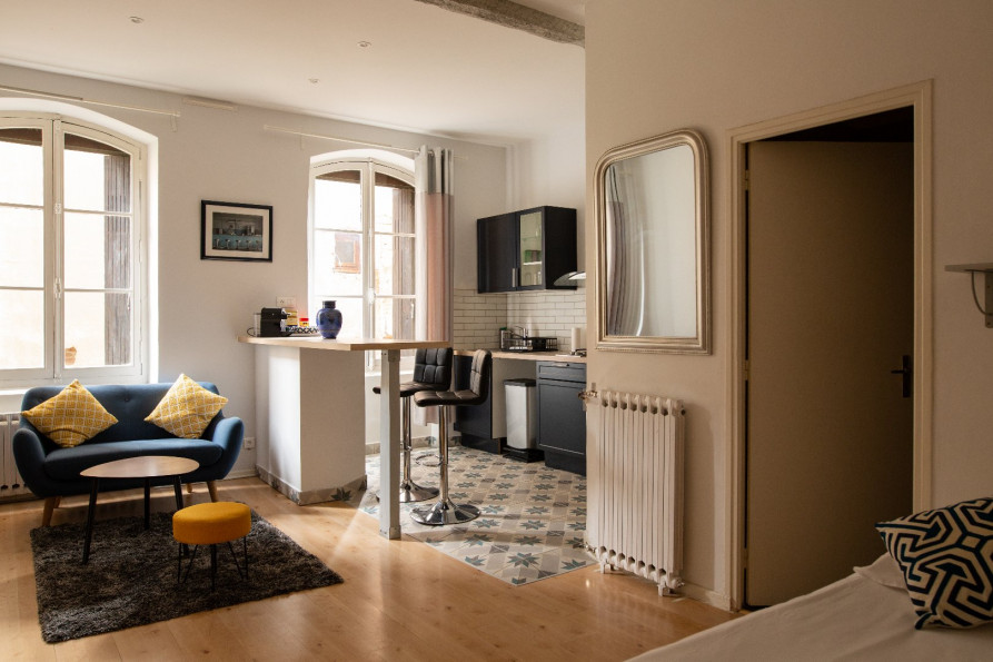 location Appartement Toulouse - Photo 1