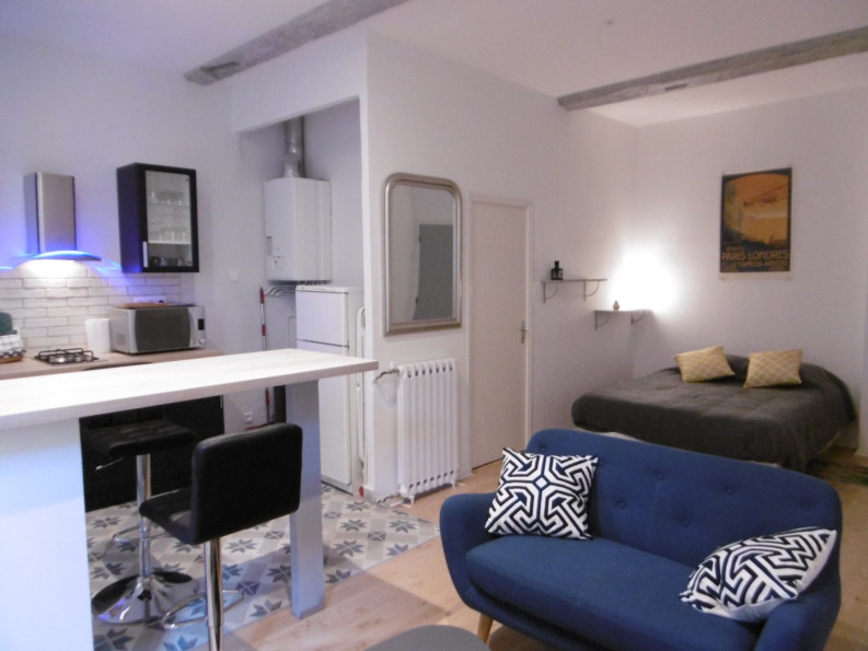 location Appartement Toulouse - Photo 3