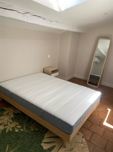 location Appartement Toulouse - Photo 6