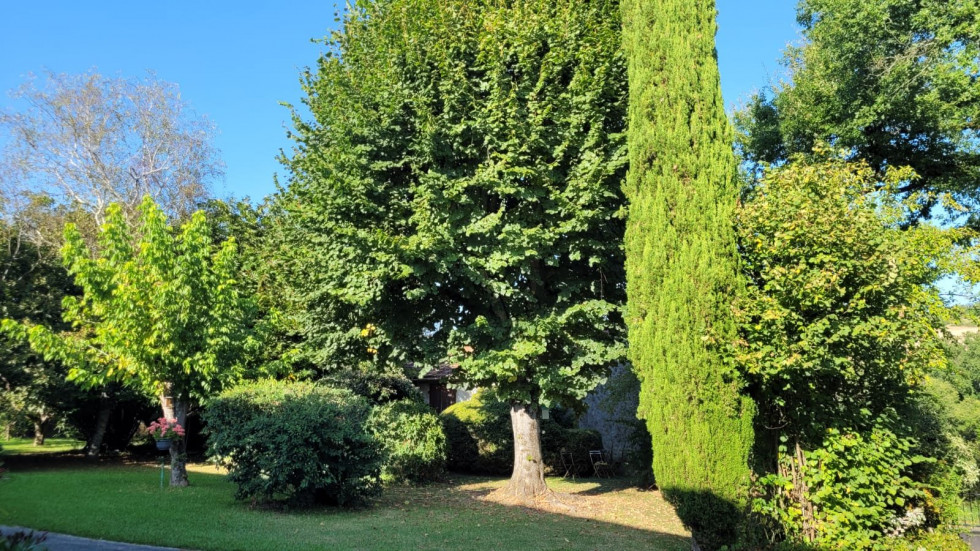 vente Maison de caractère Moirax - Photo 6