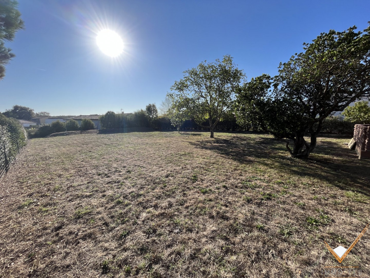 vente Terrain Fontenilles - Photo 2