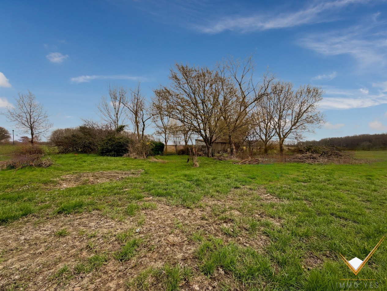 vente Maison Saint-lys - Photo 3