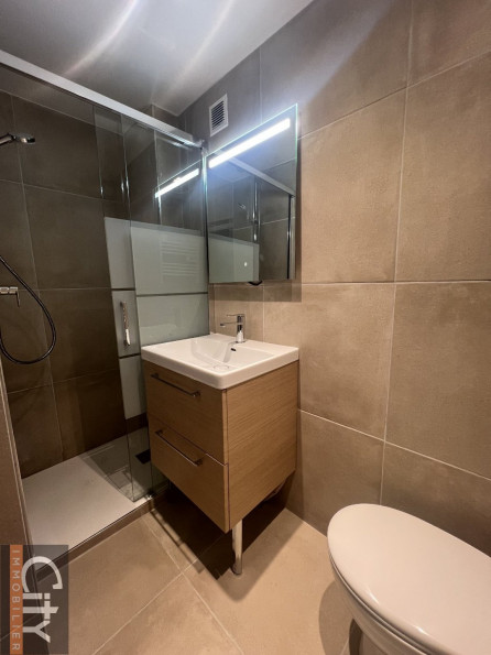 vente Immeuble Toulouse - Photo 4