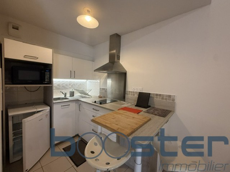 location Appartement Toulouse - Photo 9