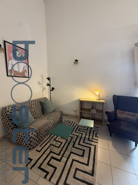 location Appartement Toulouse - Photo 7