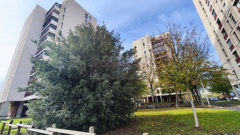 vente Appartement Toulouse - Photo 1