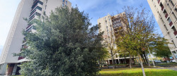 vente Appartement Toulouse
